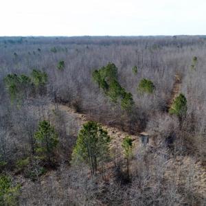 Photo of UNDER CONTRACT!  167 Acres of Hunting Land For Sale in Halifax County NC!