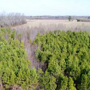 Photo of UNDER CONTRACT!  167 Acres of Hunting Land For Sale in Halifax County NC!