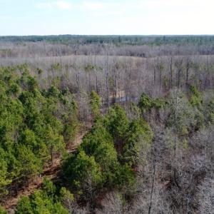 Photo of UNDER CONTRACT!  167 Acres of Hunting Land For Sale in Halifax County NC!
