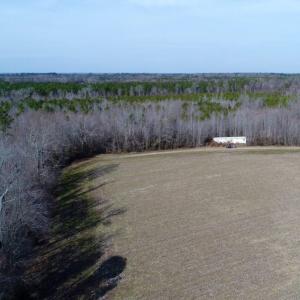 Photo of UNDER CONTRACT!  167 Acres of Hunting Land For Sale in Halifax County NC!