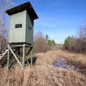 Photo of UNDER CONTRACT!  167 Acres of Hunting Land For Sale in Halifax County NC!