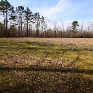 Photo of UNDER CONTRACT!  167 Acres of Hunting Land For Sale in Halifax County NC!