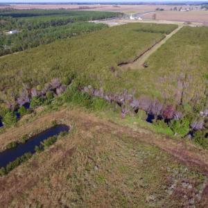 Photo of UNDER CONTRACT!  0.5 Acre Residential Lot for Sale in Hyde County NC!