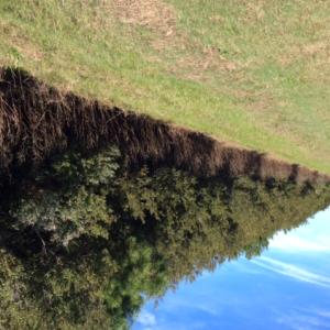 Photo of UNDER CONTRACT!  0.5 Acre Residential Lot for Sale in Hyde County NC!