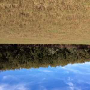 Photo of UNDER CONTRACT!  0.5 Acre Residential Lot for Sale in Hyde County NC!