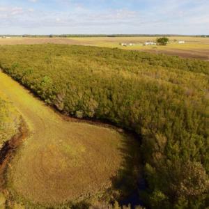 Photo of UNDER CONTRACT!  0.5 Acre Residential Lot for Sale in Hyde County NC!