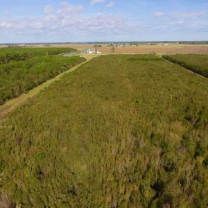 Photo of UNDER CONTRACT!  0.5 Acre Residential Lot for Sale in Hyde County NC!