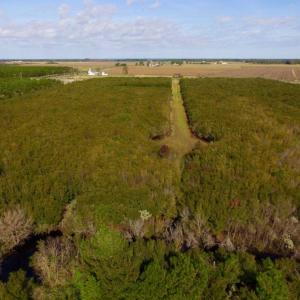 Photo of UNDER CONTRACT!  0.5 Acre Residential Lot for Sale in Hyde County NC!