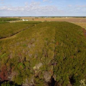 Photo of UNDER CONTRACT!  0.5 Acre Residential Lot for Sale in Hyde County NC!
