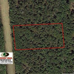 Photo of UNDER CONTRACT!  0.5 Acre Residential Lot for Sale in Hyde County NC!