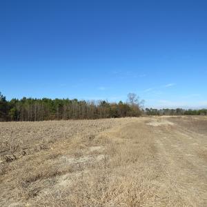 Photo of UNDER CONTRACT!  70 Acres of Farm and Timber Land For Sale in Hoke County NC!