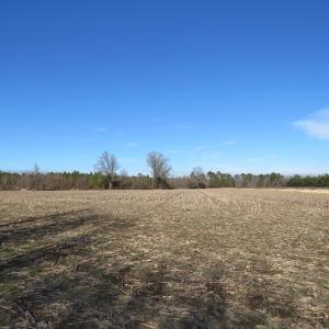 Photo of UNDER CONTRACT!  70 Acres of Farm and Timber Land For Sale in Hoke County NC!