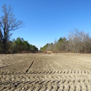 Photo of UNDER CONTRACT!  70 Acres of Farm and Timber Land For Sale in Hoke County NC!