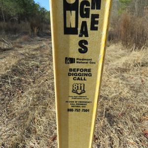 Photo of UNDER CONTRACT!  70 Acres of Farm and Timber Land For Sale in Hoke County NC!