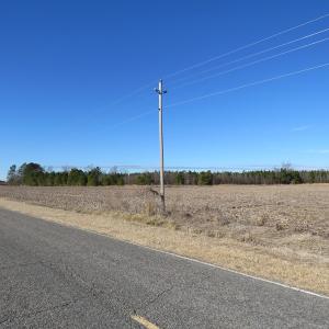 Photo of UNDER CONTRACT!  70 Acres of Farm and Timber Land For Sale in Hoke County NC!