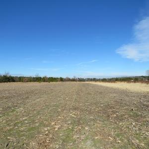 Photo of UNDER CONTRACT!  70 Acres of Farm and Timber Land For Sale in Hoke County NC!