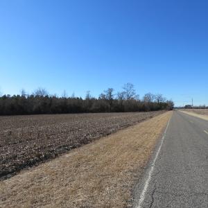 Photo of UNDER CONTRACT!  70 Acres of Farm and Timber Land For Sale in Hoke County NC!