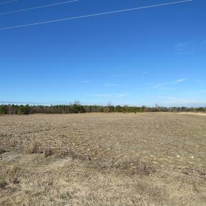 Photo of UNDER CONTRACT!  70 Acres of Farm and Timber Land For Sale in Hoke County NC!