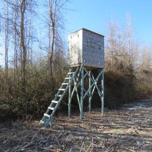 Photo of UNDER CONTRACT!  70 Acres of Farm and Timber Land For Sale in Hoke County NC!