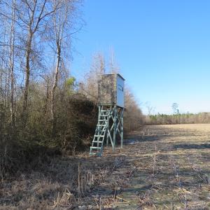 Photo of UNDER CONTRACT!  70 Acres of Farm and Timber Land For Sale in Hoke County NC!