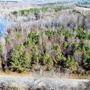 Photo of UNDER CONTRACT!  45 Acres of Hunting and Recreational Land For Sale In Wilson County NC!