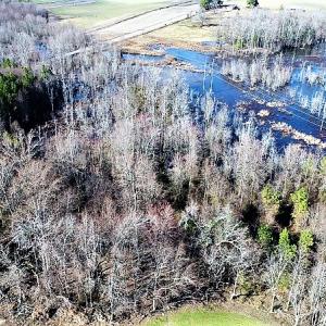 Photo of UNDER CONTRACT!  45 Acres of Hunting and Recreational Land For Sale In Wilson County NC!