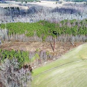 Photo of UNDER CONTRACT!  45 Acres of Hunting and Recreational Land For Sale In Wilson County NC!
