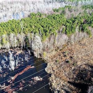 Photo of UNDER CONTRACT!  45 Acres of Hunting and Recreational Land For Sale In Wilson County NC!