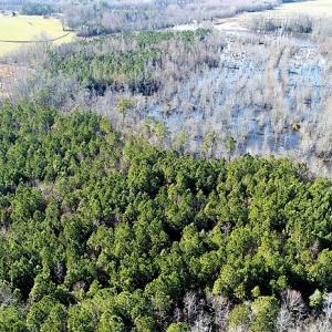 Photo of UNDER CONTRACT!  45 Acres of Hunting and Recreational Land For Sale In Wilson County NC!