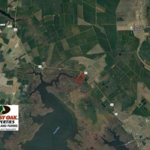 Photo of UNDER CONTRACT!  65 Acres of Waterfront Land For Sale in Hyde County NC!