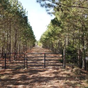 Photo of UNDER CONTRACT!  65 Acres of Waterfront Land For Sale in Hyde County NC!