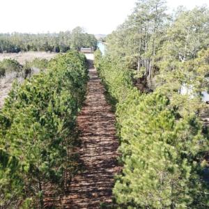 Photo of UNDER CONTRACT!  65 Acres of Waterfront Land For Sale in Hyde County NC!