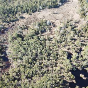 Photo of UNDER CONTRACT!  65 Acres of Waterfront Land For Sale in Hyde County NC!
