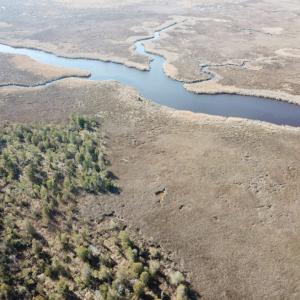 Photo of UNDER CONTRACT!  65 Acres of Waterfront Land For Sale in Hyde County NC!