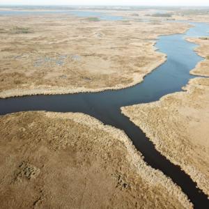 Photo of UNDER CONTRACT!  65 Acres of Waterfront Land For Sale in Hyde County NC!