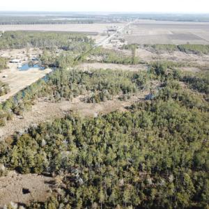 Photo of UNDER CONTRACT!  65 Acres of Waterfront Land For Sale in Hyde County NC!