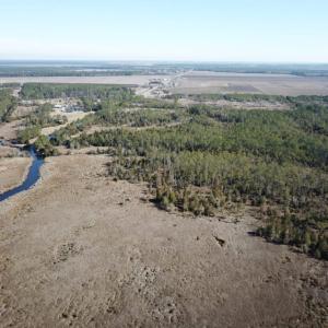 Photo of UNDER CONTRACT!  65 Acres of Waterfront Land For Sale in Hyde County NC!