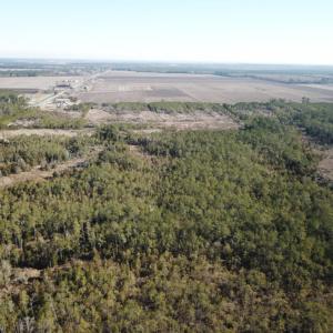 Photo of UNDER CONTRACT!  65 Acres of Waterfront Land For Sale in Hyde County NC!