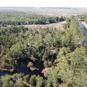 Photo of UNDER CONTRACT!  65 Acres of Waterfront Land For Sale in Hyde County NC!