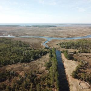 Photo of UNDER CONTRACT!  65 Acres of Waterfront Land For Sale in Hyde County NC!