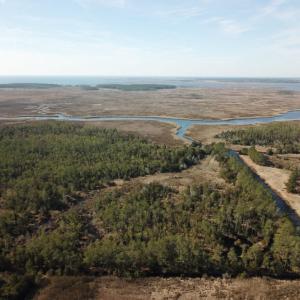 Photo of UNDER CONTRACT!  65 Acres of Waterfront Land For Sale in Hyde County NC!