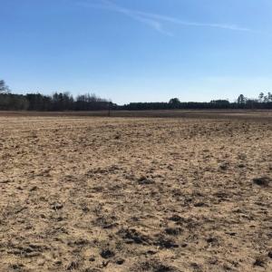 Photo of UNDER CONTRACT!  10 Acres of Residential and Recreational Land For Sale in Craven County NC!