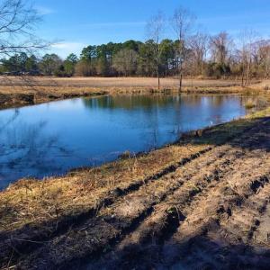 Photo of UNDER CONTRACT!  10 Acres of Residential and Recreational Land For Sale in Craven County NC!