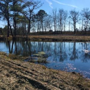 Photo of UNDER CONTRACT!  10 Acres of Residential and Recreational Land For Sale in Craven County NC!