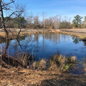 Photo of UNDER CONTRACT!  10 Acres of Residential and Recreational Land For Sale in Craven County NC!