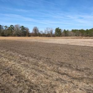 Photo of UNDER CONTRACT!  10 Acres of Residential and Recreational Land For Sale in Craven County NC!