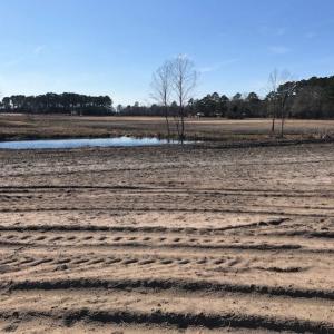 Photo of UNDER CONTRACT!  10 Acres of Residential and Recreational Land For Sale in Craven County NC!