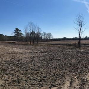 Photo of UNDER CONTRACT!  10 Acres of Residential and Recreational Land For Sale in Craven County NC!