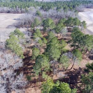 Photo of SOLD!  11 Acres of Residential and Recreational Land For Sale in Craven County NC!