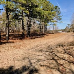 Photo of SOLD!  11 Acres of Residential and Recreational Land For Sale in Craven County NC!
